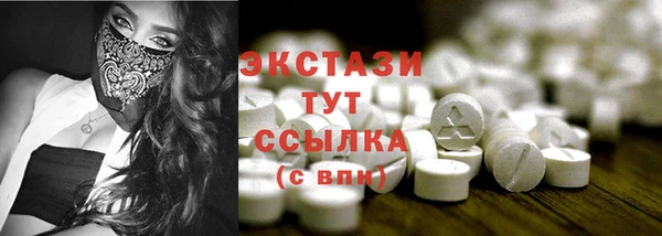 мдпв Богородицк