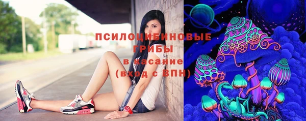 мдпв Богородицк