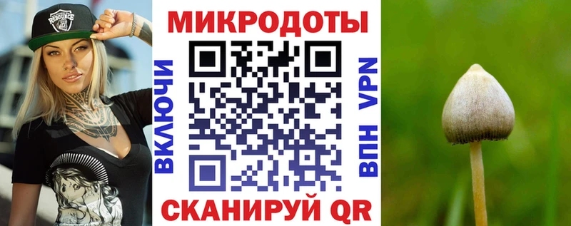 купить наркотик  Железногорск-Илимский  Галлюциногенные грибы Magic Shrooms 